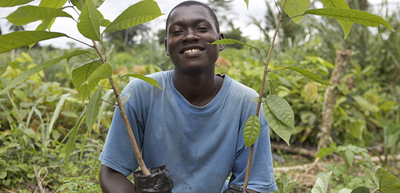 The Nestlé Cocoa Plan
